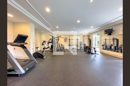Apartamento à venda com 590m², 4 quartos e 6 vagas