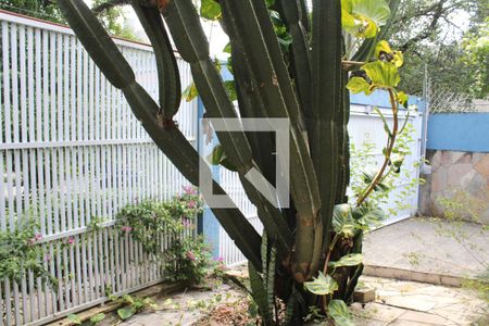 Casa à venda com 240m², 4 quartos e 4 vagasQuintal