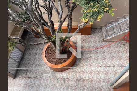 Casa à venda com 184m², 4 quartos e 3 vagasÁrea comum