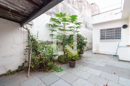 Casa à venda com 218m², 3 quartos e 3 vagas Casa à venda com 218m², 3 quartos e 3 vagasQuintal