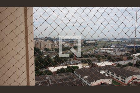 Apartamento para alugar com 113m², 3 quartos e 2 vagasVista do Quarto 3 - Suíte