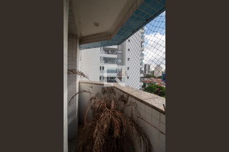 Apartamento à venda com 280m², 4 quartos e 2 vagas Apartamento à venda com 280m², 4 quartos e 2 vagasQuarto 3