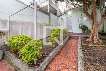 Casa para alugar com 211m², 3 quartos e 1 vagaQuintal