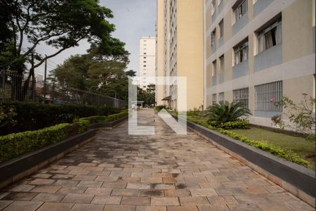 Apartamento para alugar com 76m², 2 quartos e 1 vaga Apartamento para alugar com 76m², 2 quartos e 1 vagaÁrea comum