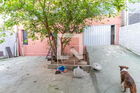 Casa à venda com 180m², 3 quartos e sem vagaQuintal