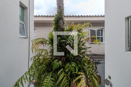 Casa à venda com 450m², 3 quartos e 3 vagasSala TV