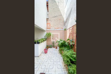 Casa à venda com 246m², 3 quartos e 4 vagasQuintal