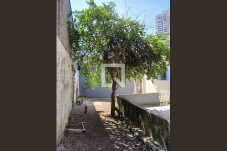 Casa à venda com 268m², 2 quartos e 2 vagas Casa à venda com 268m², 2 quartos e 2 vagasFoto 17