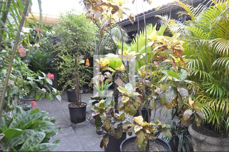 Casa à venda com 191m², 4 quartos e 3 vagasQuintal