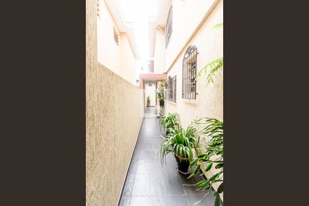 Casa à venda com 272m², 3 quartos e 2 vagas Casa à venda com 272m², 3 quartos e 2 vagasÁrea externa