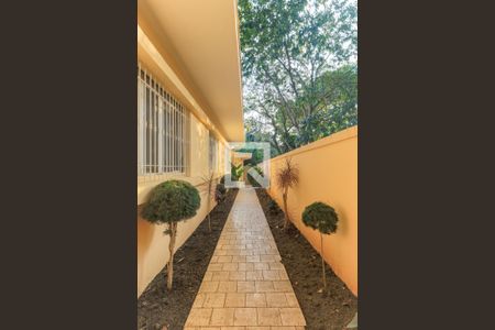 Casa à venda com 568m², 4 quartos e 3 vagas Casa à venda com 568m², 4 quartos e 3 vagasCorredor Lateral