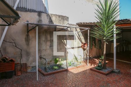 Casa à venda com 180m², 3 quartos e sem vaga Casa à venda com 180m², 3 quartos e sem vagaQuintal