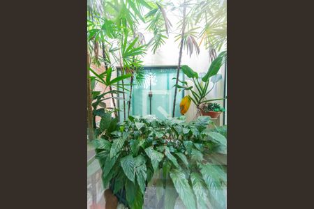 Casa à venda com 240m², 3 quartos e 4 vagas Casa à venda com 240m², 3 quartos e 4 vagasJardim de Inverno