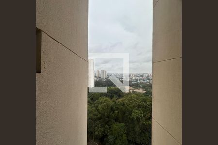 Apartamento à venda com 171m², 3 quartos e 3 vagasVista da Suíte 2
