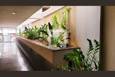 Studio à venda com 35m², 1 quarto e 1 vaga Studio à venda com 35m², 1 quarto e 1 vagaHall Social