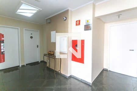 Apartamento à venda com 53m², 3 quartos e 1 vaga Apartamento à venda com 53m², 3 quartos e 1 vagaÁrea comum - Hall