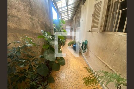 Casa à venda com 300m², 3 quartos e 2 vagas Casa à venda com 300m², 3 quartos e 2 vagasFoto 25