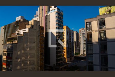 Vista de apartamento para alugar com 1 quarto, 25m² em Vila Buarque, São Paulo
