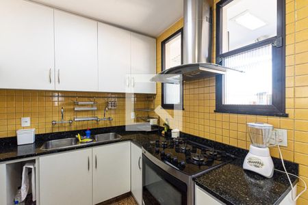 Apartamento à venda com 341m², 5 quartos e 2 vagasCozinha