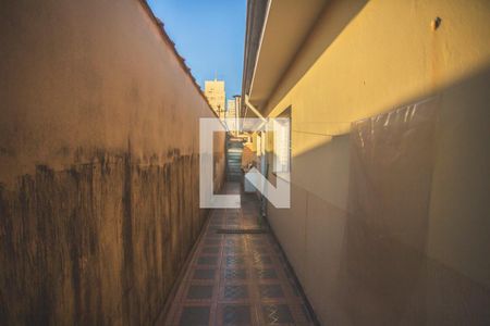 Casa à venda com 257m², 3 quartos e 3 vagas Casa à venda com 257m², 3 quartos e 3 vagasCorredor Lateral