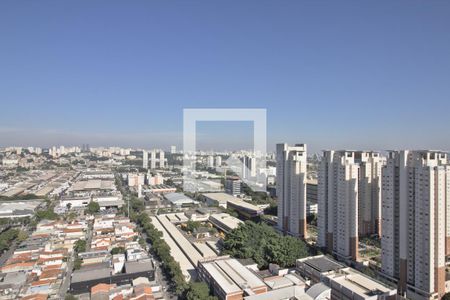 Apartamento para alugar com 246m², 2 quartos e 3 vagas Apartamento para alugar com 246m², 2 quartos e 3 vagasVista Terraço