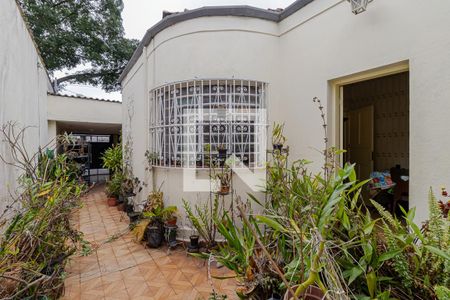 Casa à venda com 300m², 3 quartos e 3 vagas Casa à venda com 300m², 3 quartos e 3 vagasCorredor
