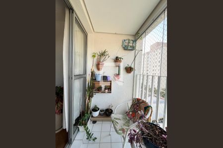 Varanda da Sala de apartamento para alugar com 3 quartos, 67m² em Vila Campestre, São Paulo