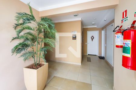 Apartamento para alugar com 46m², 2 quartos e sem vaga Apartamento para alugar com 46m², 2 quartos e sem vagahall