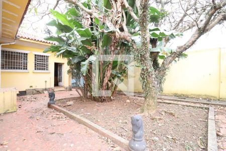 Casa à venda com 800m², 4 quartos e 6 vagasQuintal