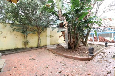 Casa à venda com 800m², 4 quartos e 6 vagasQuintal