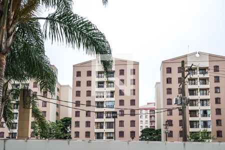 Quarto 1 de apartamento para alugar com 2 quartos, 51m² em Jardim São Savério, São Paulo