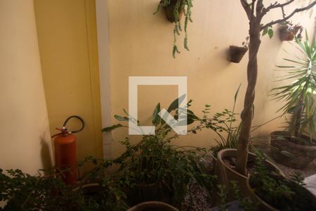 Casa para alugar com 140m², 3 quartos e 2 vagasVista da Cozinha