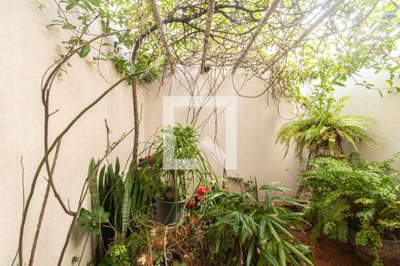 Casa para alugar com 236m², 3 quartos e 4 vagas Casa para alugar com 236m², 3 quartos e 4 vagasÁrea de luz Sala