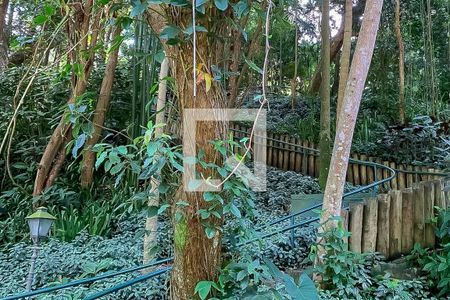 Apartamento à venda com 329m², 3 quartos e 3 vagas Apartamento à venda com 329m², 3 quartos e 3 vagasBosque