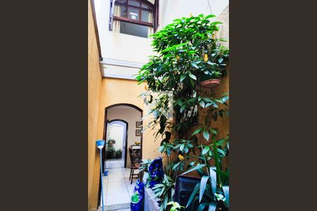 Casa à venda com 200m², 3 quartos e 4 vagas Casa à venda com 200m², 3 quartos e 4 vagasQuintal