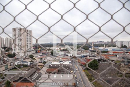 Quarto 1 - Vista de apartamento para alugar com 2 quartos, 62m² em Vila Endres, Guarulhos
