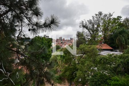 Vista do Quarto 1 de apartamento para alugar com 2 quartos, 110m² em Paraisópolis, São Paulo