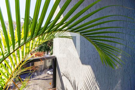 Casa à venda com 430m², 3 quartos e 5 vagas Casa à venda com 430m², 3 quartos e 5 vagasSacada da Suíte