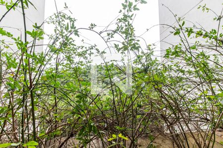 Apartamento à venda com 60m², 2 quartos e 2 vagas Apartamento à venda com 60m², 2 quartos e 2 vagasVista