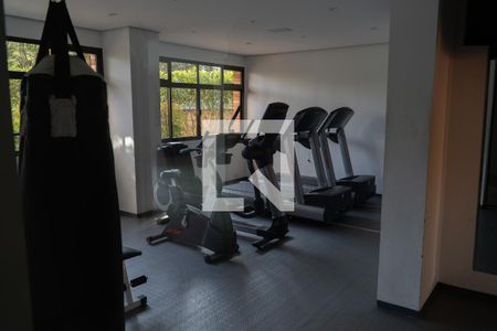 Apartamento para alugar com 236m², 6 quartos e 4 vagasÁrea comum - Academia