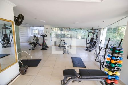 Apartamento para alugar com 54m², 2 quartos e 1 vaga Apartamento para alugar com 54m², 2 quartos e 1 vagaÁrea comum - Academia