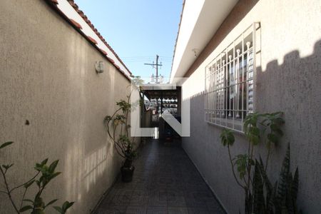 Casa à venda com 300m², 5 quartos e 3 vagasQuintal