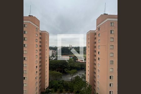 Apartamento para alugar com 70m², 3 quartos e 1 vagaVista do Quarto 2