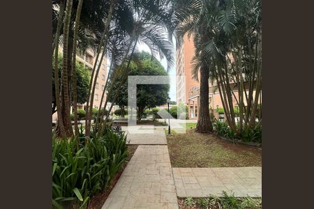 Apartamento para alugar com 70m², 3 quartos e 1 vagaÁrea comum