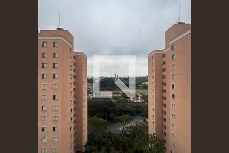 Apartamento para alugar com 70m², 3 quartos e 1 vagaVista do Quarto 1