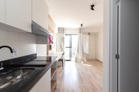 Apartamento à venda com 25m², 1 quarto e sem vagaCozinha