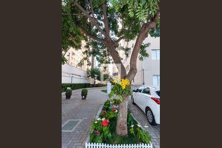 Apartamento para alugar com 44m², 2 quartos e sem vaga Apartamento para alugar com 44m², 2 quartos e sem vagaÁrea comum