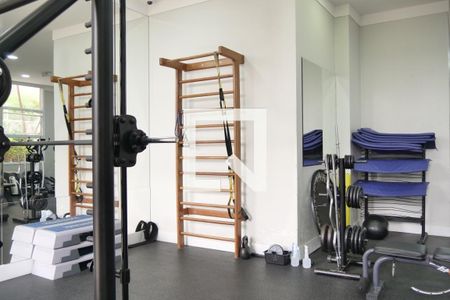 Apartamento à venda com 242m², 3 quartos e 3 vagasÁrea comum - Academia