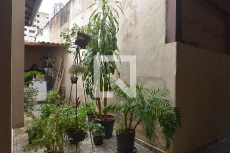 Casa à venda com 240m², 3 quartos e 5 vagasÁrea externa