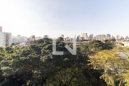 Apartamento para alugar com 241m², 3 quartos e 3 vagas Apartamento para alugar com 241m², 3 quartos e 3 vagasVista da Suíte 1